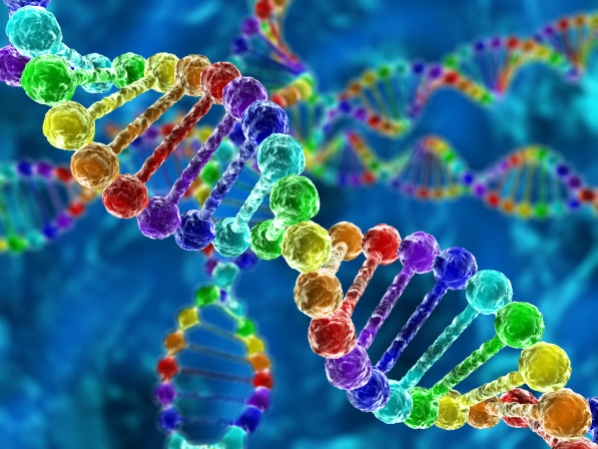 Rainbow DNA (deoxyribonucleic acid)